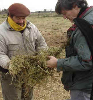 agricultura-familiar-inta-2-cut.JPG (23775 bytes)