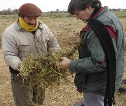 agricultura-familiar-inta-3.JPG (30019 bytes)