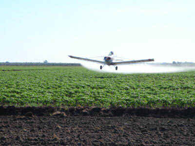 agroquimicos6.jpg (15537 bytes)