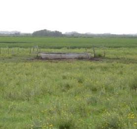 aguada-empastada-cut.JPG (10263 bytes)