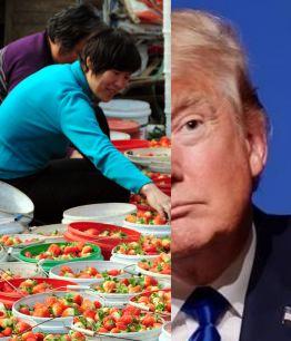 china-trump.JPG (19608 bytes)
