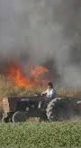 incendio-campos-2-cut.JPG (3231 bytes)