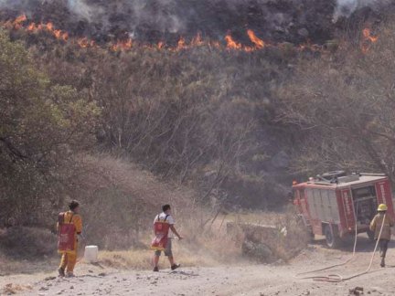 incendios-monte-elonce-110913.jpg (33459 bytes)