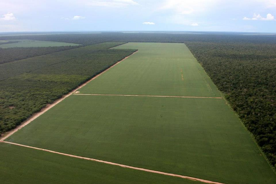 soja-amazonas-agroarea.jpg (65370 bytes)