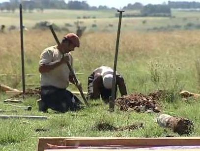 trabajo.campo-1.JPG (26780 bytes)