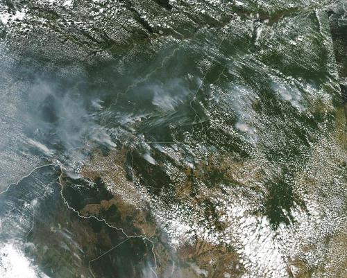 amazonia-incendio-210819-ap.JPG (65413 bytes)