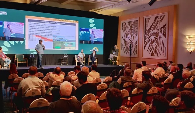 asagir-2026.jpg (109935 bytes)