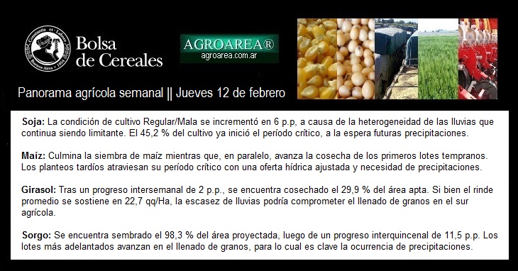 bcba-120226.jpg (122891 bytes)