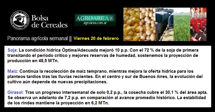 bcba-230226.jpg (135290 bytes)