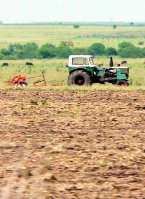 campo-uno-entrerios-cut.jpg (52800 bytes)