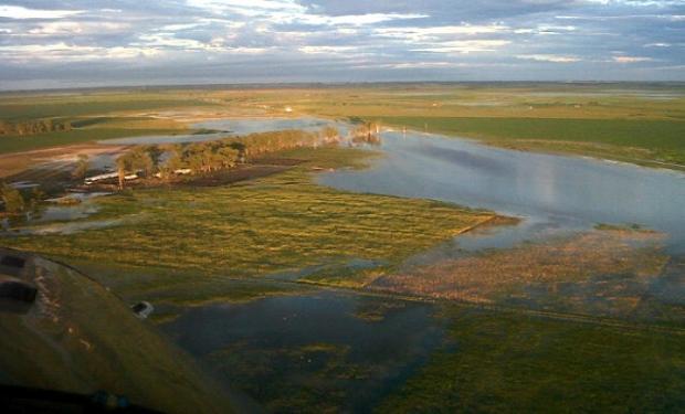 campos-inundados-2.JPG (21543 bytes)