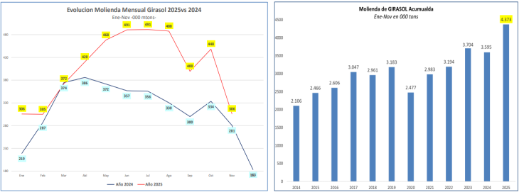 ciara-sec-3-2025-molienda-girasol.png (40596 bytes)