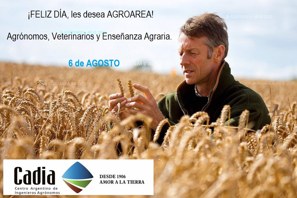 dia-agronomo.jpg (142056 bytes)