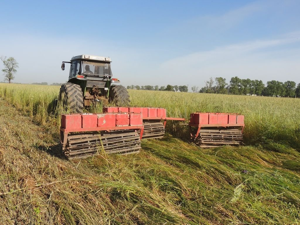 hileradora.jpg (233017 bytes)