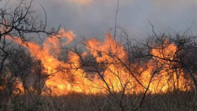 incendios-eldiario-er-100913.jpg (25628 bytes)