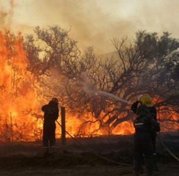 incendios.jpg (13931 bytes)