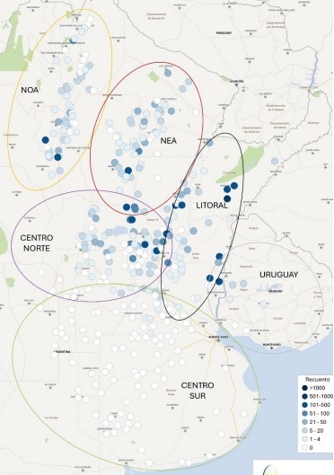infocampo-1-060226.jpg (65772 bytes)