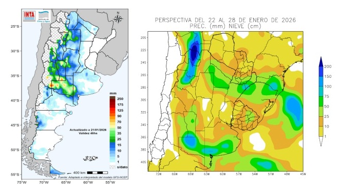 infocampo-1-220126.jpg (90552 bytes)