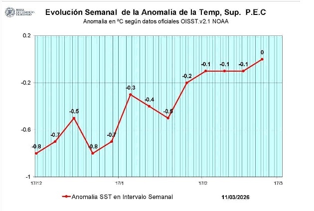infocampo-1-300326.jpg (70426 bytes)
