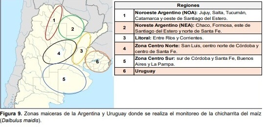 infocampo-2-060226.jpg (58427 bytes)