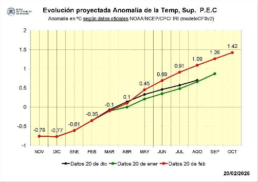infocampo-2-300326.jpg (48428 bytes)