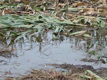 inundacion-sin-piso-eldiario.jpg (57357 bytes)