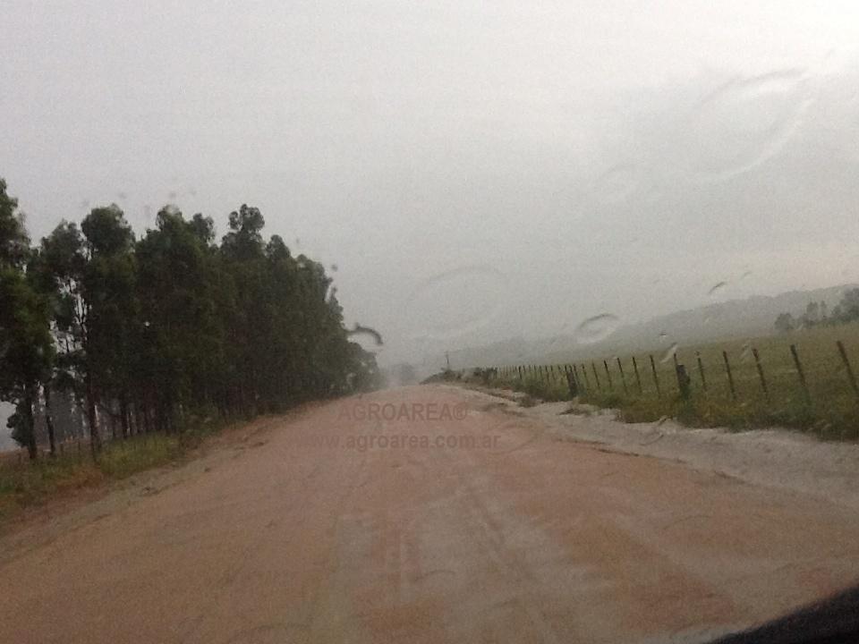 lluvias-campo-6.jpg (34647 bytes)