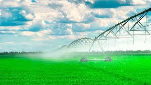 riego-2.jpg (17087 bytes)