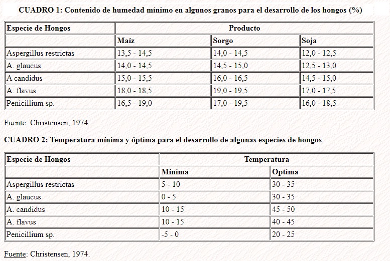 secado-granos-1-2.jpg (207817 bytes)