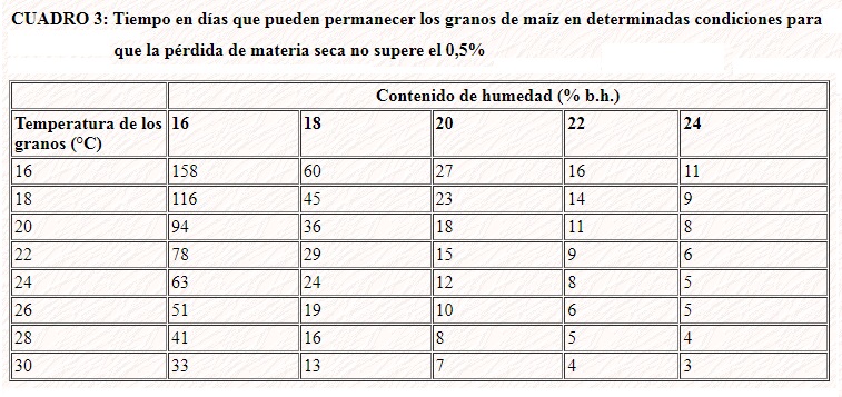 secado-granos-3.jpg (130835 bytes)