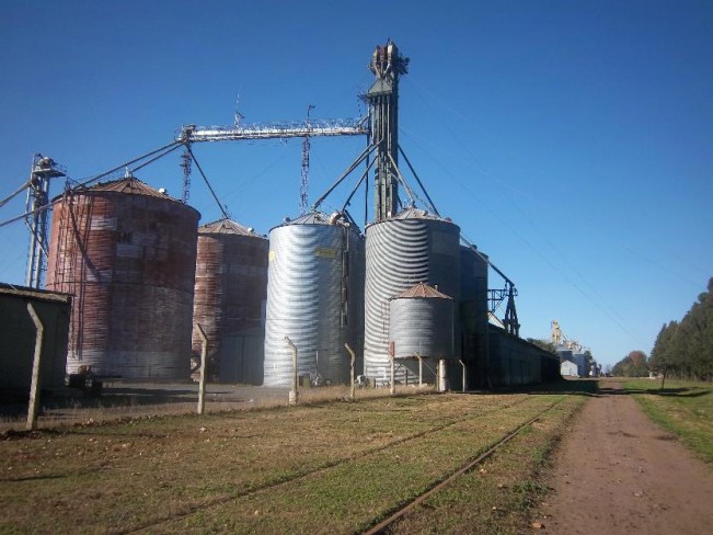 silos-acopio.jpg (81113 bytes)