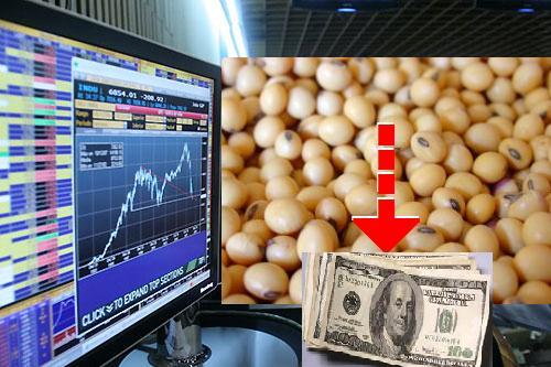 soja-baja-dolar-cbot.JPG (42923 bytes)