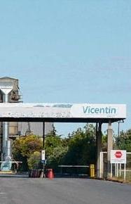 vicentin-cut.JPG (8850 bytes)